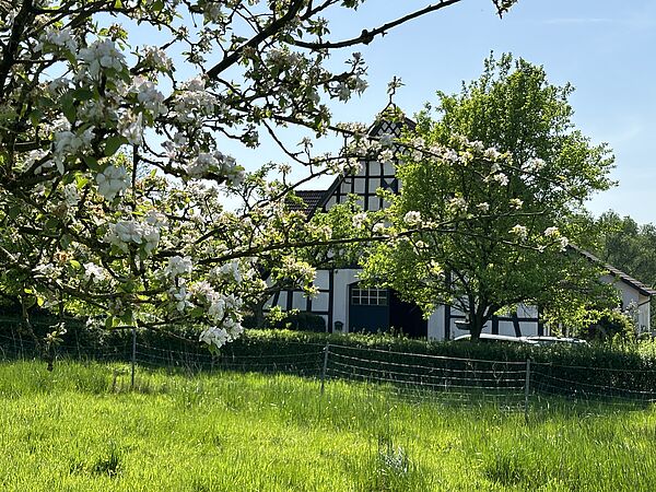 Malerisch gelegen. Der Apfelhof soll, wenn es nach den Plänen des CKO geht, in einigen Jahren zu einem Kinderhospiz werden. 